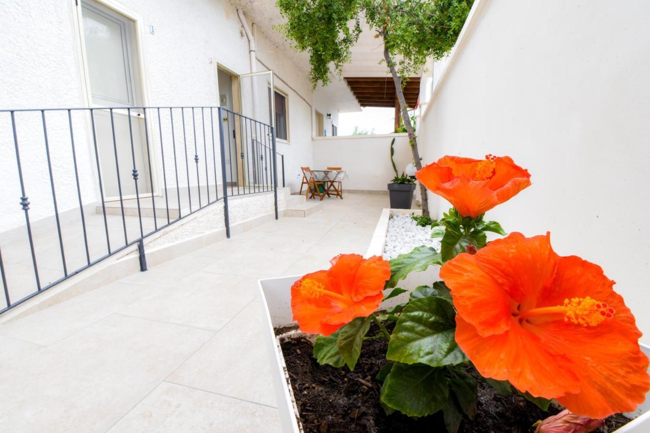 B&B Macchia Mediterranea San Pietro in Bevagna Dış mekan fotoğraf